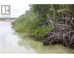Lot 1316 Consejo Beach Trail, corozal, Ontario