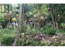 Lot 959 Consejo Beach Trail, corozal, Ontario