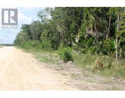 Lot 600 Consejo Beach Trail, corozal, Ontario