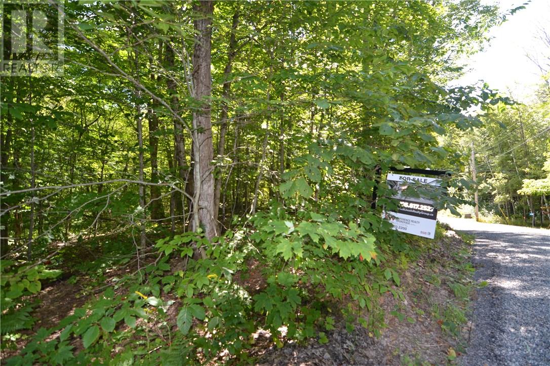 Lot 20 White's Road, Port Carling, Ontario (18644827) Cygnus Developments