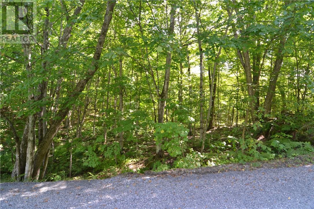 Lot 20 White's Road, Port Carling, Ontario (18644827) Cygnus Developments