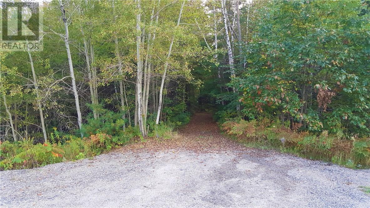 PT LT 117 CON B FOLEY, Parry Sound, Ontario P2A 2W8 (18692866) Cygnus