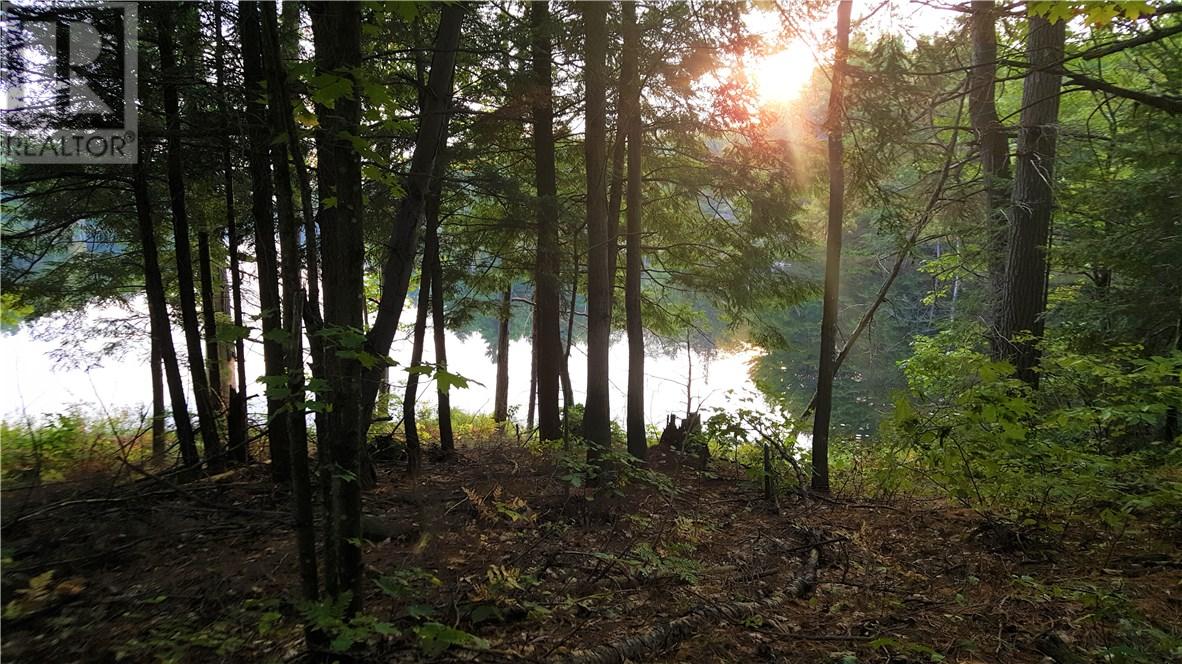 PT LT 117 CON B FOLEY, Parry Sound, Ontario P2A 2W8 (18692866) Cygnus